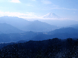 高川山からの富士山