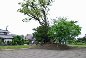 井川城跡