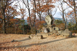 桐生城の本郭