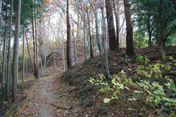 桐生城への道