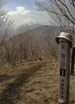 菜畑山からの富士山