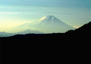 大岳山からの富士山